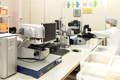 Laser Scanning Microscope